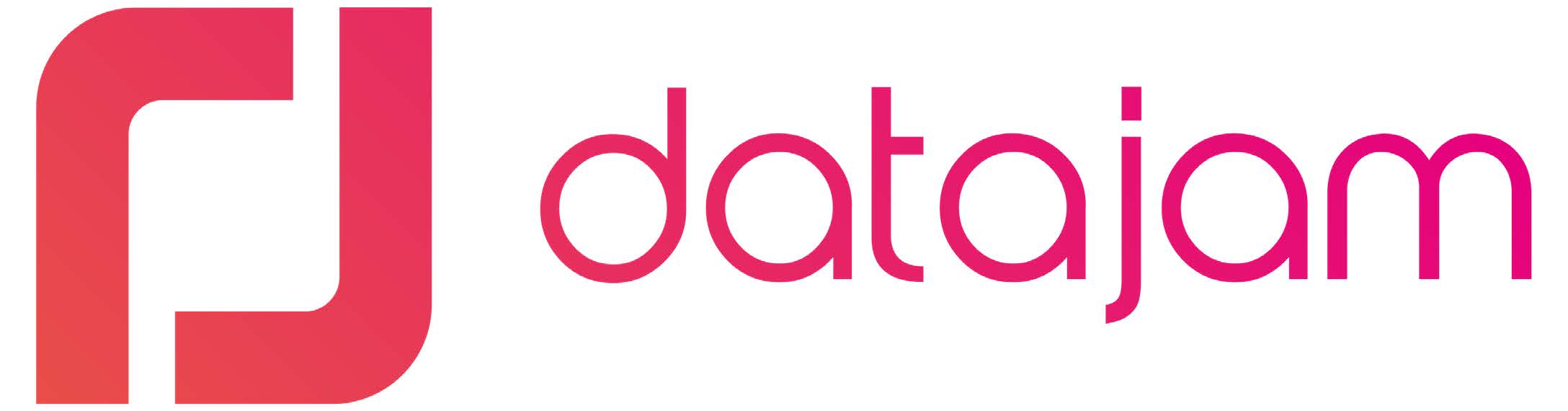 DataJam Logo